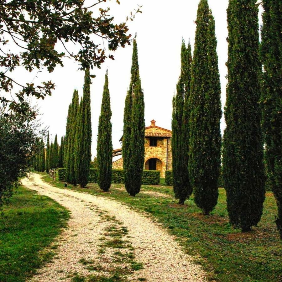 La Coccinella Apartment San Venanzo Luaran gambar
