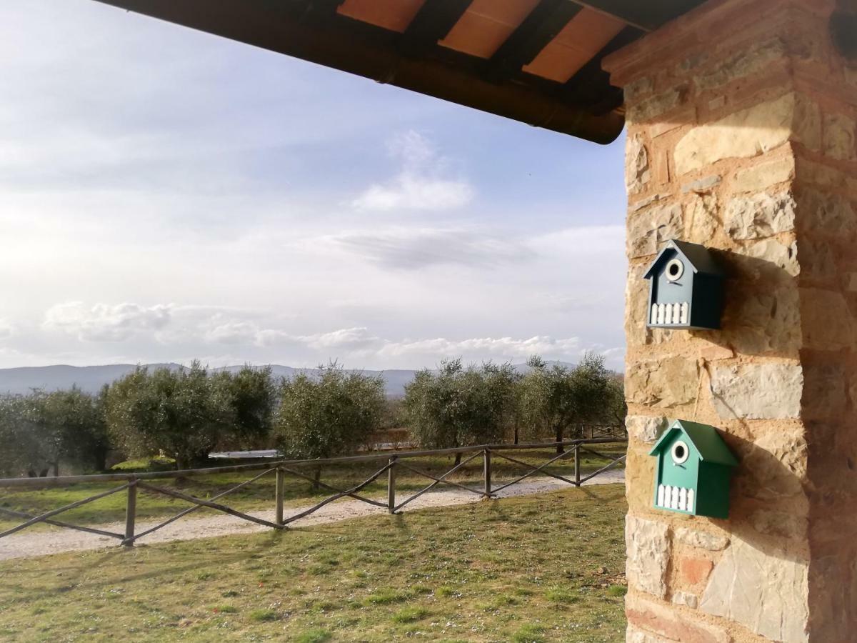 La Coccinella Apartment San Venanzo Luaran gambar